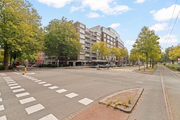 Medium property photo - Delflandseweg 243, 3119 XW Schiedam